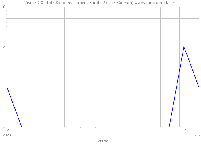 Visitas 2024 de Sozo Investment Fund LP (Islas Caimán) 