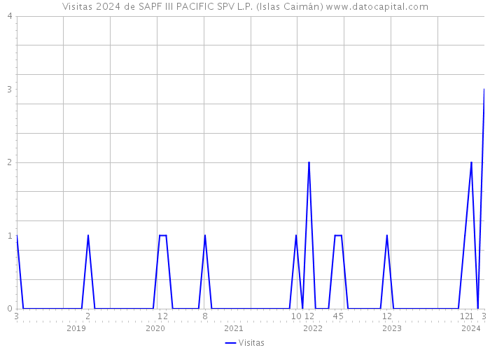 Visitas 2024 de SAPF III PACIFIC SPV L.P. (Islas Caimán) 