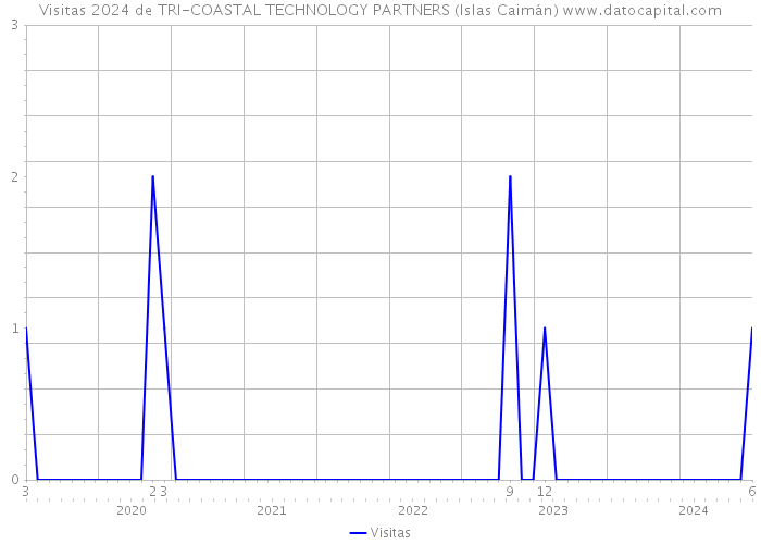 Visitas 2024 de TRI-COASTAL TECHNOLOGY PARTNERS (Islas Caimán) 