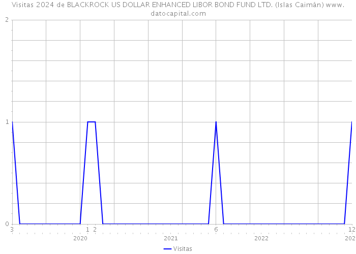 Visitas 2024 de BLACKROCK US DOLLAR ENHANCED LIBOR BOND FUND LTD. (Islas Caimán) 