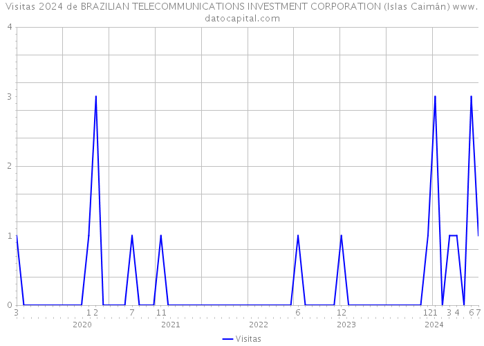 Visitas 2024 de BRAZILIAN TELECOMMUNICATIONS INVESTMENT CORPORATION (Islas Caimán) 