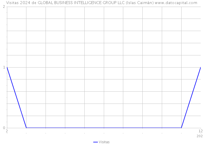 Visitas 2024 de GLOBAL BUSINESS INTELLIGENCE GROUP LLC (Islas Caimán) 