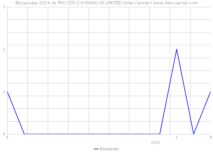 Búsquedas 2024 de PMI CDS (CAYMAN) VII LIMITED (Islas Caimán) 