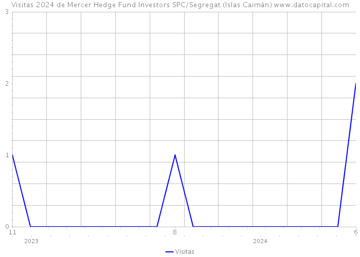 Visitas 2024 de Mercer Hedge Fund Investors SPC/Segregat (Islas Caimán) 