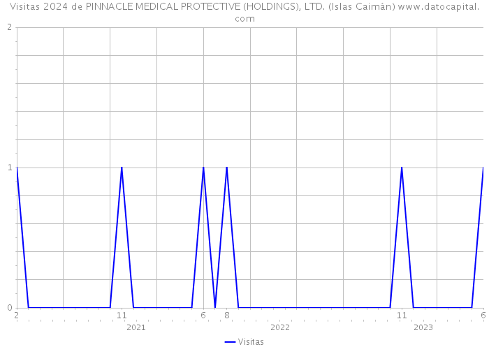 Visitas 2024 de PINNACLE MEDICAL PROTECTIVE (HOLDINGS), LTD. (Islas Caimán) 