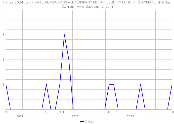 Visitas 2024 de PRIVATE ADVISORS SMALL COMPANY PRIVATE EQUITY FUND VII (CAYMAN), LP (Islas Caimán) 