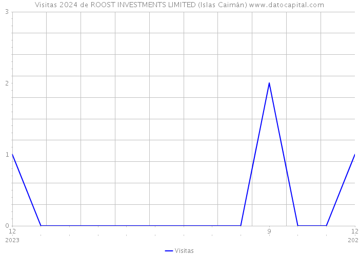 Visitas 2024 de ROOST INVESTMENTS LIMITED (Islas Caimán) 