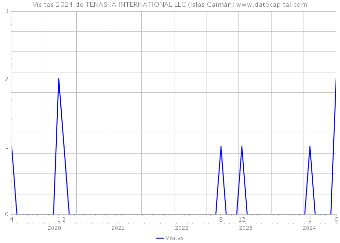Visitas 2024 de TENASKA INTERNATIONAL LLC (Islas Caimán) 