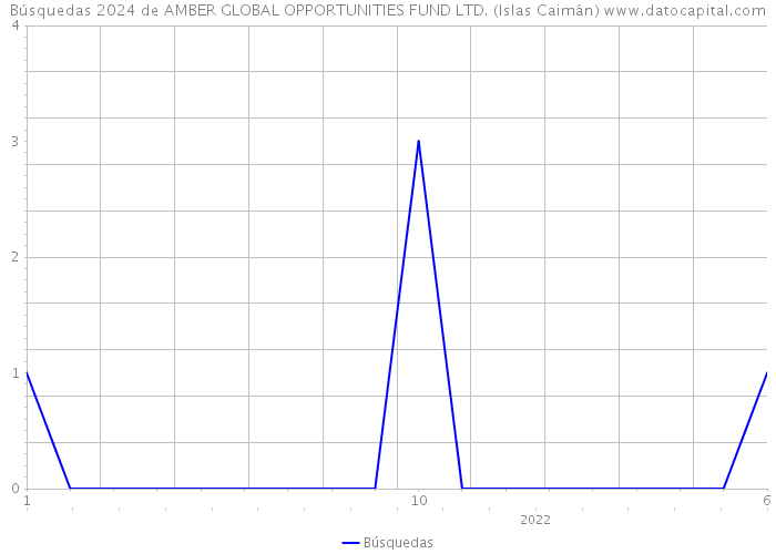 Búsquedas 2024 de AMBER GLOBAL OPPORTUNITIES FUND LTD. (Islas Caimán) 