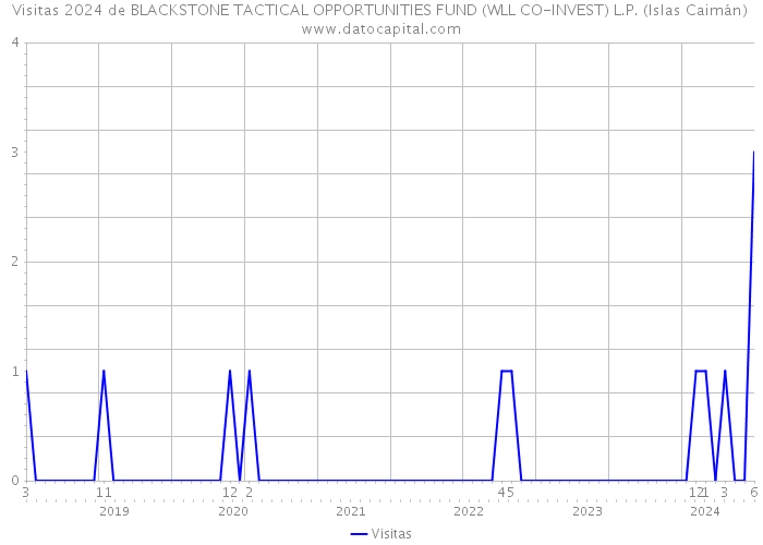 Visitas 2024 de BLACKSTONE TACTICAL OPPORTUNITIES FUND (WLL CO-INVEST) L.P. (Islas Caimán) 