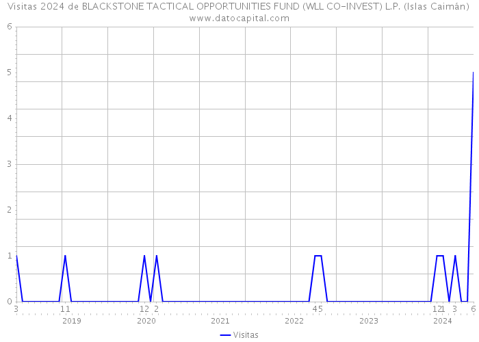 Visitas 2024 de BLACKSTONE TACTICAL OPPORTUNITIES FUND (WLL CO-INVEST) L.P. (Islas Caimán) 