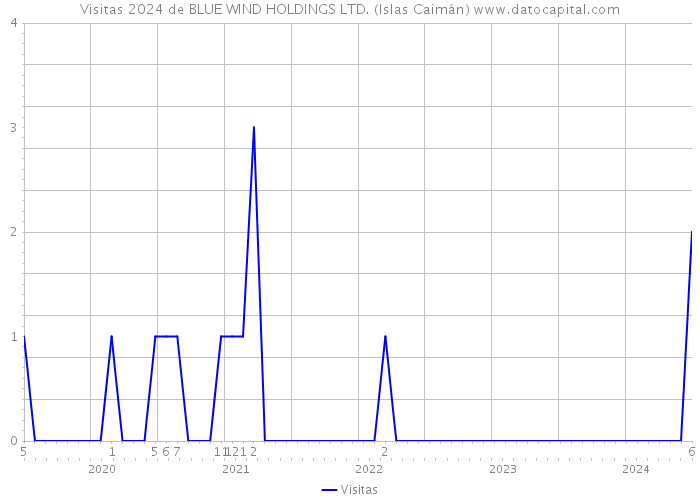 Visitas 2024 de BLUE WIND HOLDINGS LTD. (Islas Caimán) 