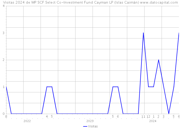 Visitas 2024 de WP SCF Select Co-Investment Fund Cayman LP (Islas Caimán) 