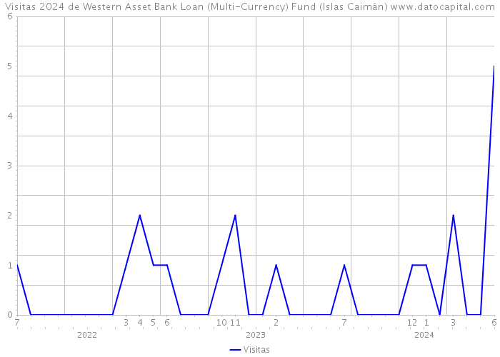 Visitas 2024 de Western Asset Bank Loan (Multi-Currency) Fund (Islas Caimán) 