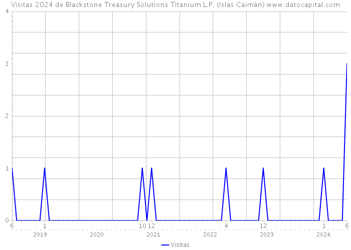Visitas 2024 de Blackstone Treasury Solutions Titanium L.P. (Islas Caimán) 