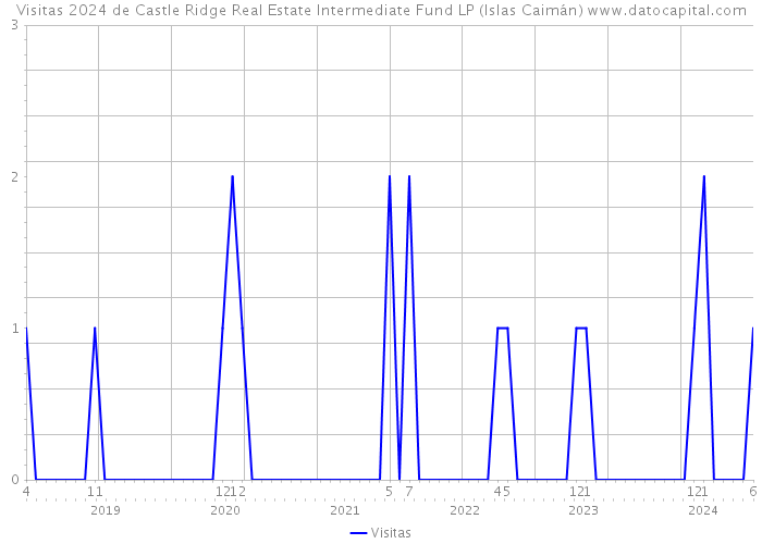 Visitas 2024 de Castle Ridge Real Estate Intermediate Fund LP (Islas Caimán) 