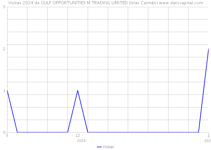 Visitas 2024 de GULF OPPORTUNITIES M TRADING LIMITED (Islas Caimán) 