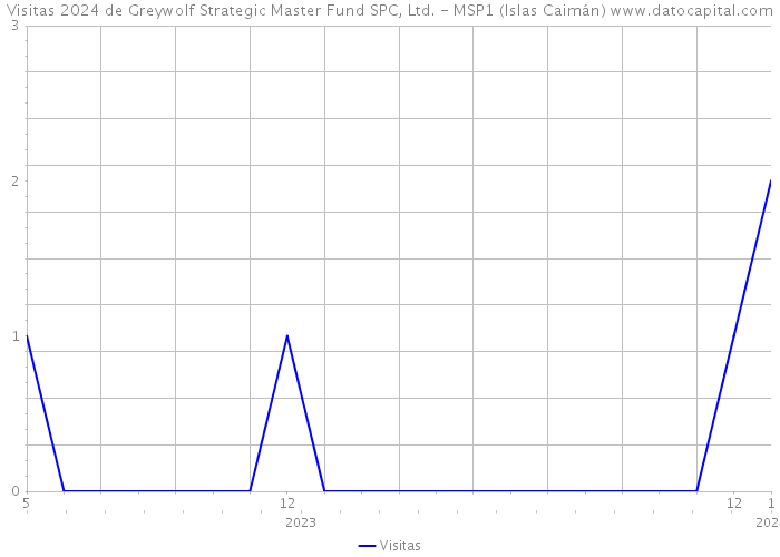 Visitas 2024 de Greywolf Strategic Master Fund SPC, Ltd. - MSP1 (Islas Caimán) 