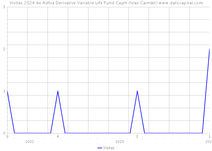 Visitas 2024 de Adhia Derivative Variable Life Fund Caym (Islas Caimán) 