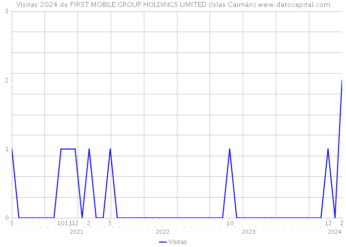 Visitas 2024 de FIRST MOBILE GROUP HOLDINGS LIMITED (Islas Caimán) 