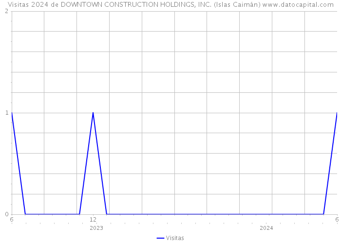 Visitas 2024 de DOWNTOWN CONSTRUCTION HOLDINGS, INC. (Islas Caimán) 