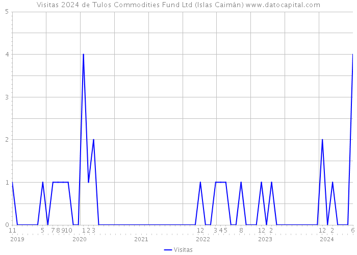 Visitas 2024 de Tulos Commodities Fund Ltd (Islas Caimán) 