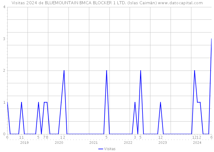 Visitas 2024 de BLUEMOUNTAIN BMCA BLOCKER 1 LTD. (Islas Caimán) 