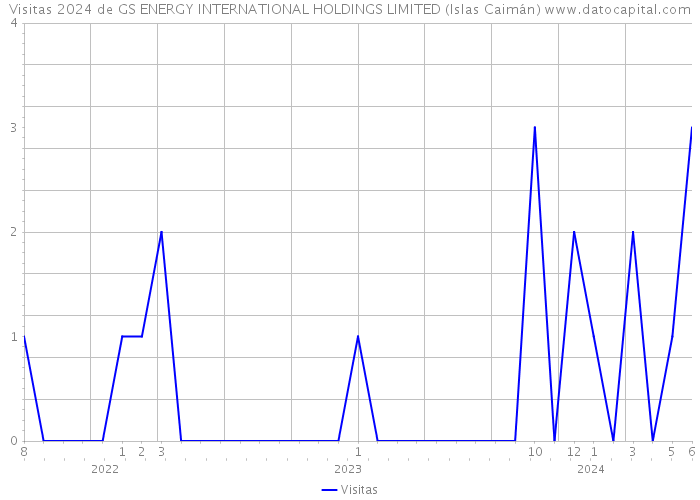 Visitas 2024 de GS ENERGY INTERNATIONAL HOLDINGS LIMITED (Islas Caimán) 