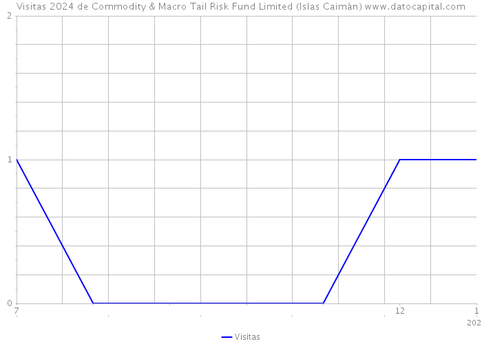 Visitas 2024 de Commodity & Macro Tail Risk Fund Limited (Islas Caimán) 