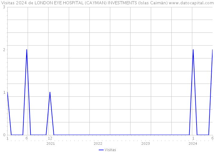 Visitas 2024 de LONDON EYE HOSPITAL (CAYMAN) INVESTMENTS (Islas Caimán) 