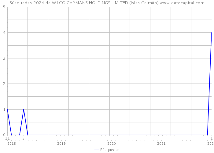 Búsquedas 2024 de WILCO CAYMANS HOLDINGS LIMITED (Islas Caimán) 