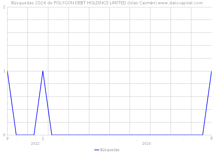 Búsquedas 2024 de POLYGON DEBT HOLDINGS LIMITED (Islas Caimán) 