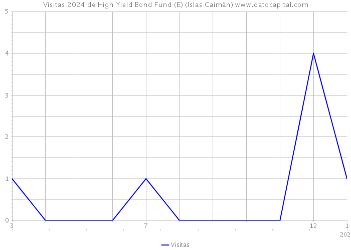 Visitas 2024 de High Yield Bond Fund (E) (Islas Caimán) 
