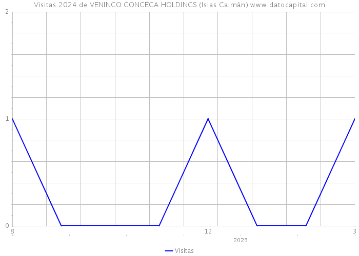 Visitas 2024 de VENINCO CONCECA HOLDINGS (Islas Caimán) 