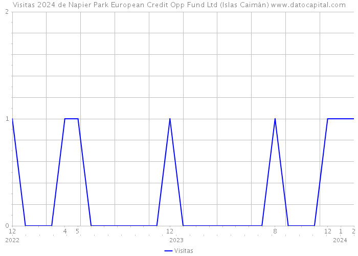 Visitas 2024 de Napier Park European Credit Opp Fund Ltd (Islas Caimán) 