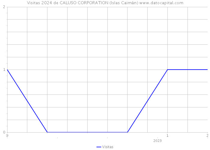 Visitas 2024 de CALUSO CORPORATION (Islas Caimán) 