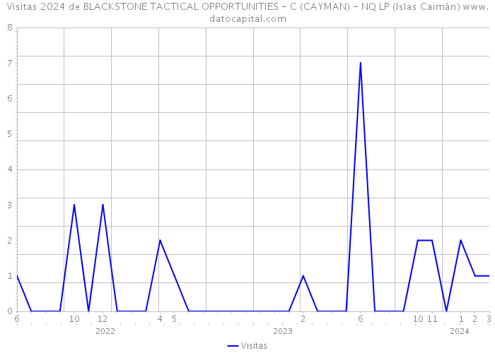 Visitas 2024 de BLACKSTONE TACTICAL OPPORTUNITIES - C (CAYMAN) - NQ LP (Islas Caimán) 