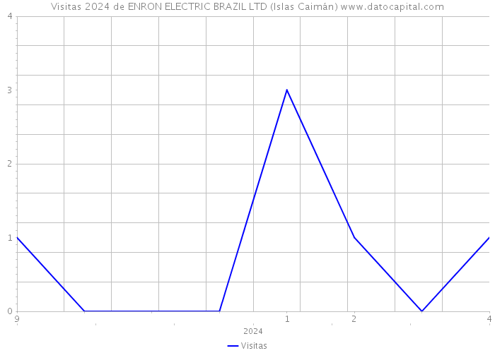 Visitas 2024 de ENRON ELECTRIC BRAZIL LTD (Islas Caimán) 