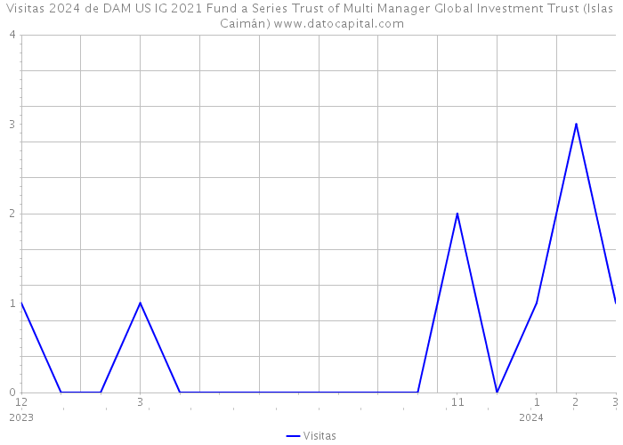 Visitas 2024 de DAM US IG 2021 Fund a Series Trust of Multi Manager Global Investment Trust (Islas Caimán) 