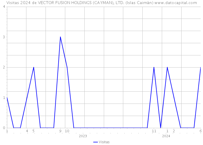 Visitas 2024 de VECTOR FUSION HOLDINGS (CAYMAN), LTD. (Islas Caimán) 