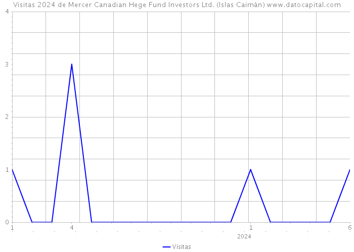 Visitas 2024 de Mercer Canadian Hege Fund Investors Ltd. (Islas Caimán) 