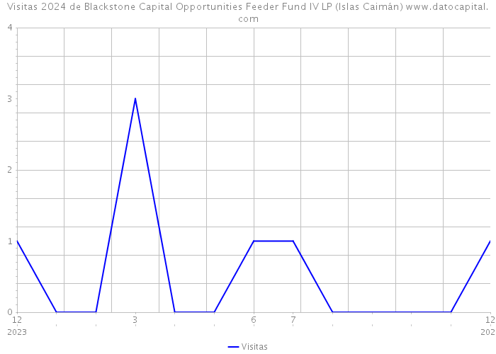 Visitas 2024 de Blackstone Capital Opportunities Feeder Fund IV LP (Islas Caimán) 