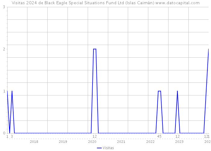 Visitas 2024 de Black Eagle Special Situations Fund Ltd (Islas Caimán) 