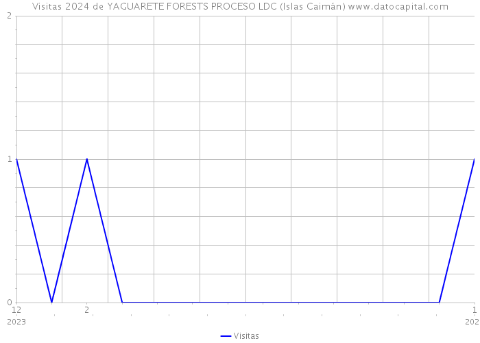 Visitas 2024 de YAGUARETE FORESTS PROCESO LDC (Islas Caimán) 