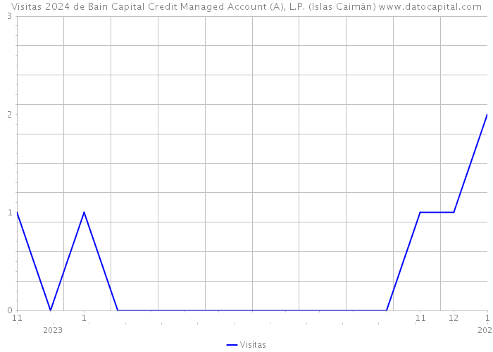 Visitas 2024 de Bain Capital Credit Managed Account (A), L.P. (Islas Caimán) 