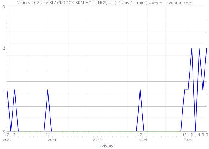 Visitas 2024 de BLACKROCK SKM HOLDINGS, LTD. (Islas Caimán) 