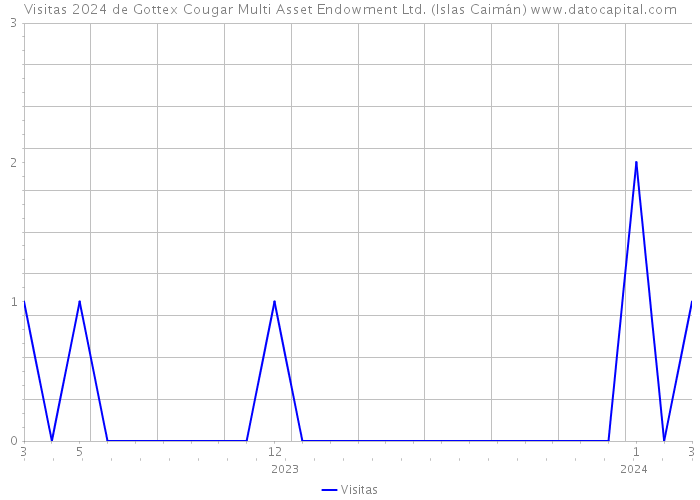 Visitas 2024 de Gottex Cougar Multi Asset Endowment Ltd. (Islas Caimán) 