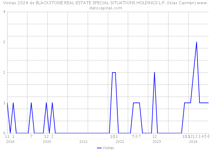 Visitas 2024 de BLACKSTONE REAL ESTATE SPECIAL SITUATIONS HOLDINGS L.P. (Islas Caimán) 