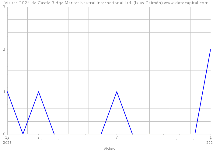 Visitas 2024 de Castle Ridge Market Neutral International Ltd. (Islas Caimán) 