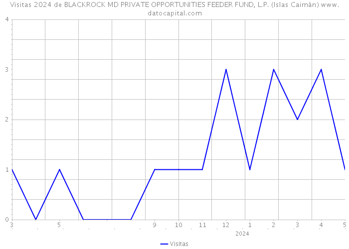 Visitas 2024 de BLACKROCK MD PRIVATE OPPORTUNITIES FEEDER FUND, L.P. (Islas Caimán) 